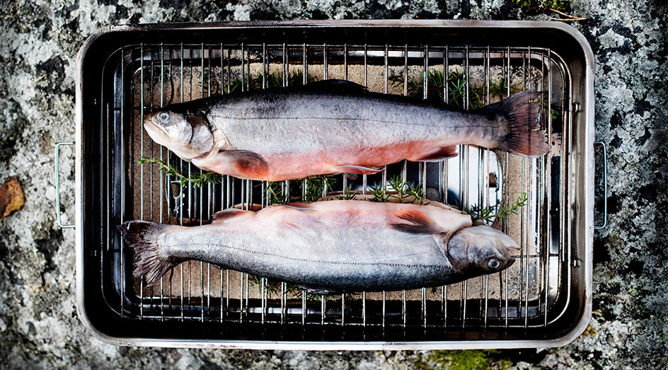 Fiskar i röklåda